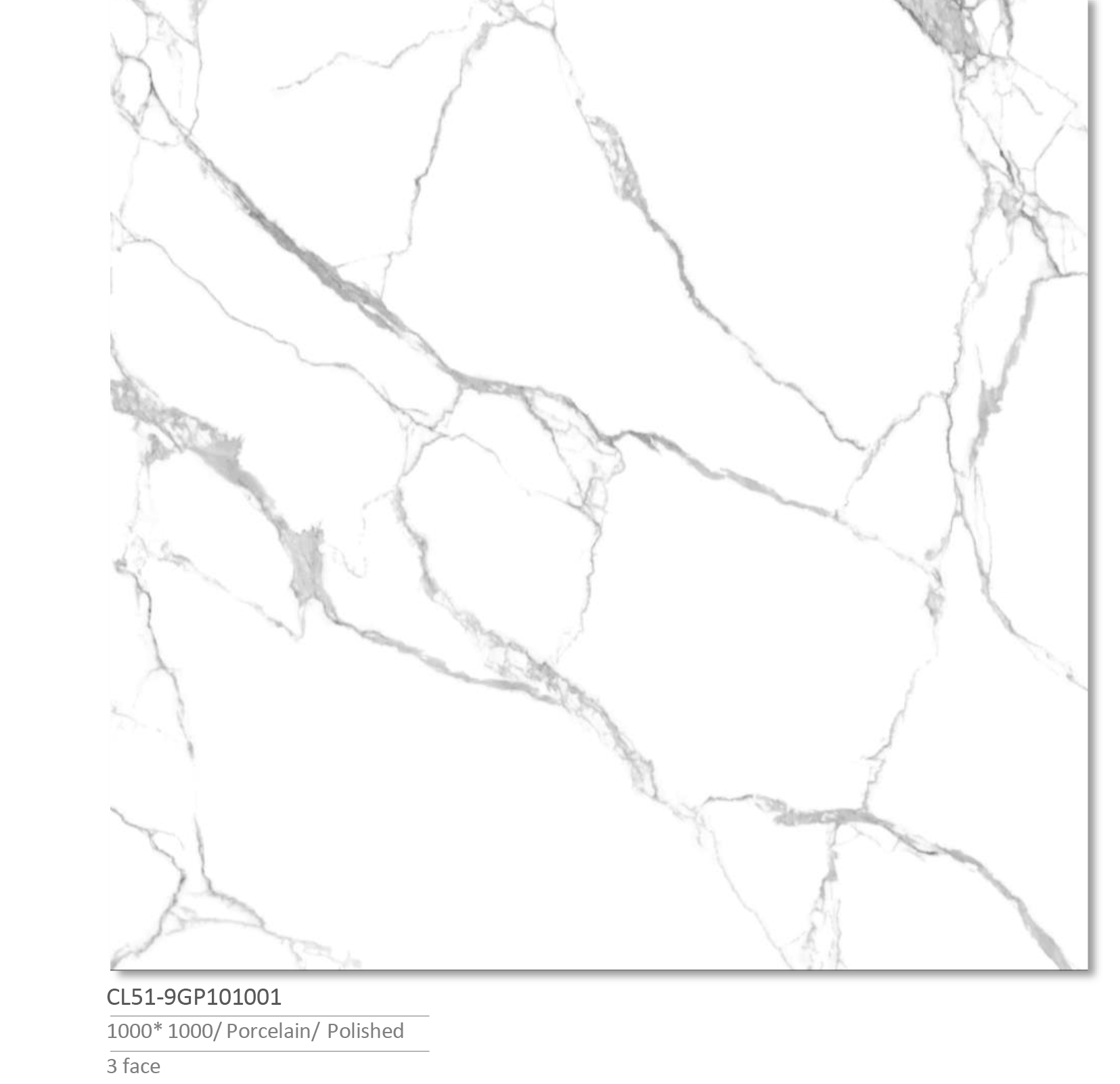 NPD_VIKD CL_100X100 THANG 10-2 NPD VIKD CL 100X100 THANG 10 2 1