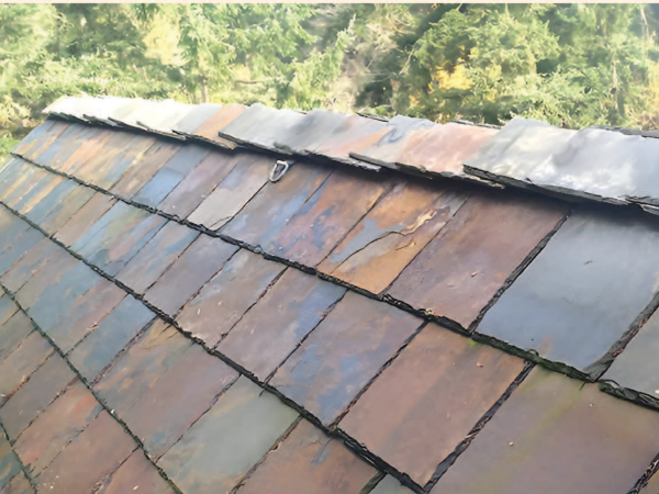 ngoi da den tu nhien cao cap 2