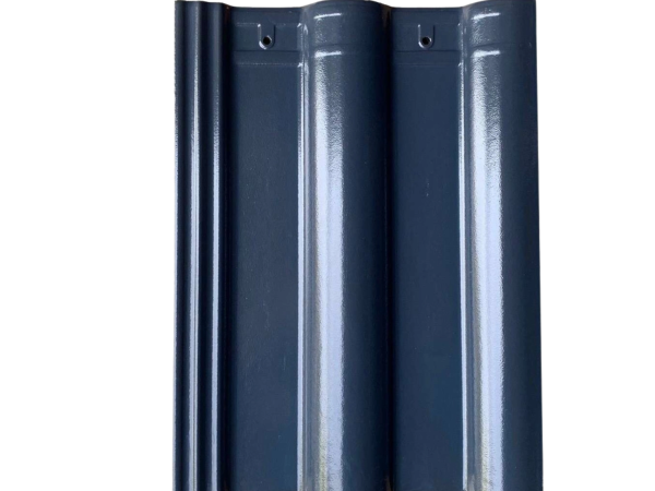 ngoi viglacera s06 2