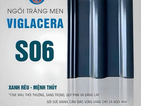 ngoi viglacera s06 3