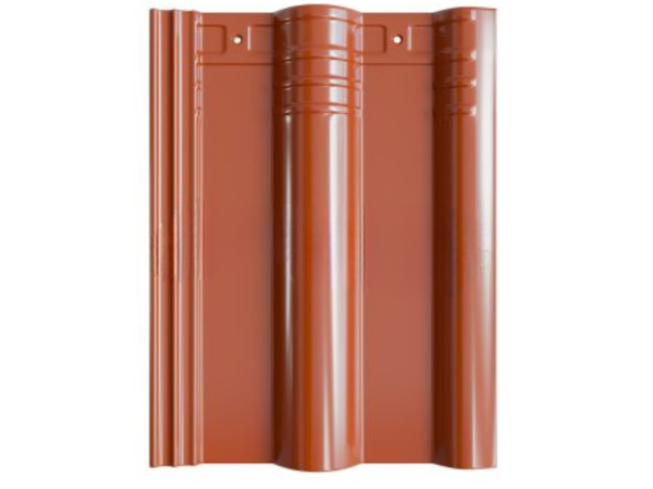 ngoi viglacera s09d 3