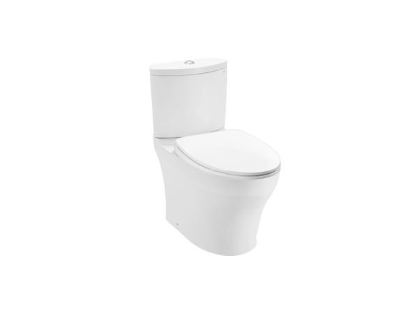 BÀN CẦU CS838DT10