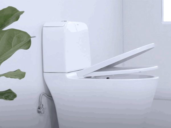 BAN CAU HAI KHOI AC 832VN 2