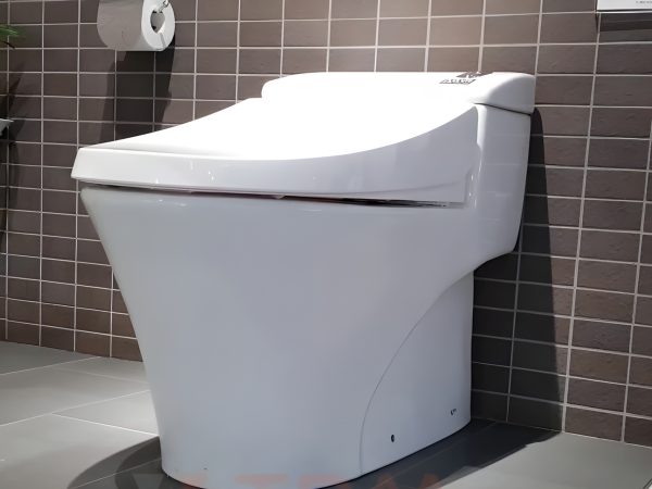 BAN CAU MOT KHOI AC 1008VRN 3