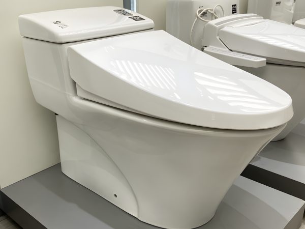 BÀN CẦU MỘT KHỐI AC-1008VRN