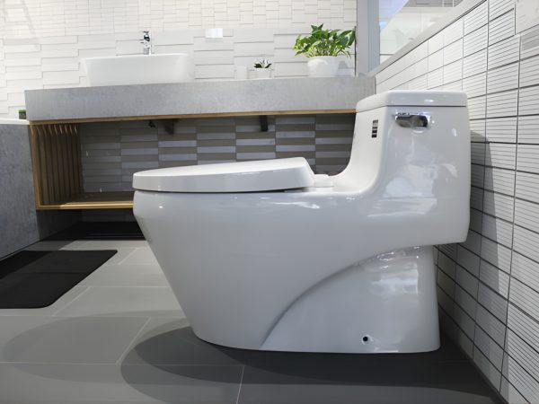 BÀN CẦU MỘT KHỐI AC-1135VN