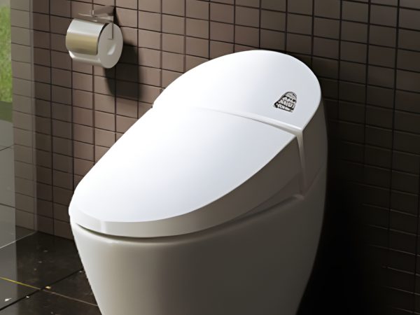 BÀN CẦU MỘT KHỐI AC-2700VN