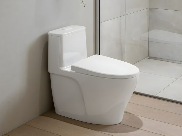 BÀN CẦU MỘT KHỐI AC-989VN