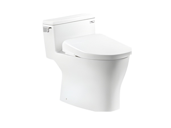 BÀN CẦU MS188VKW23 T53P100VR