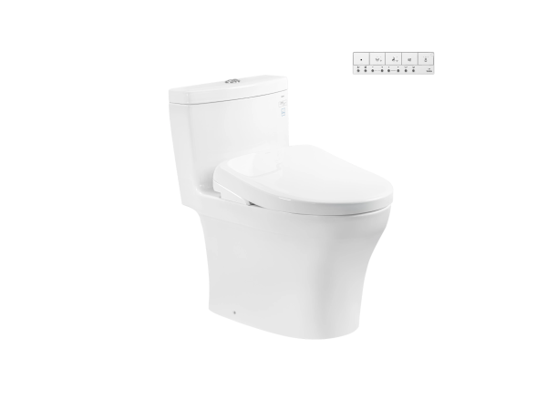 BÀN CẦU MS889CDRW23