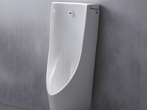 BON TIEU NAM TOTO USWN900AE HHF90603