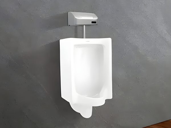 Bon Tieu Nam Viglacera tt5