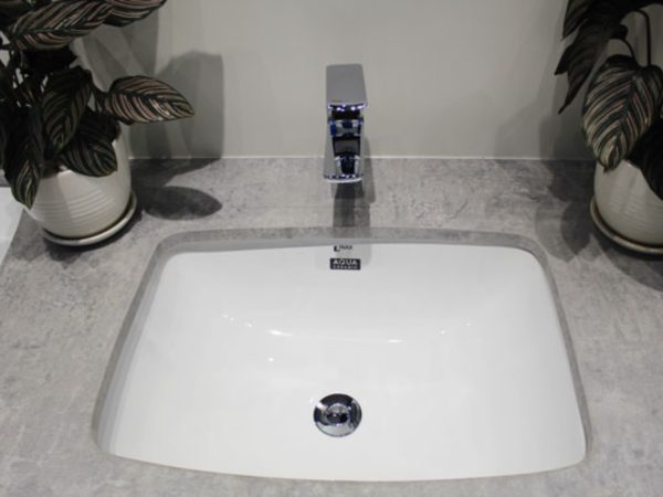 CHẬU RỬA ÂM BÀN AL-2298V