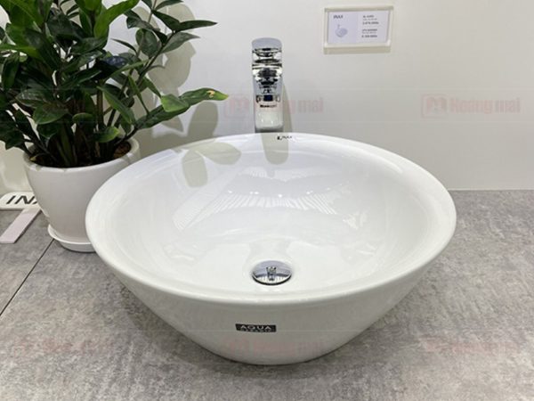 CHAU RUA DAT BAN AL 445V 2