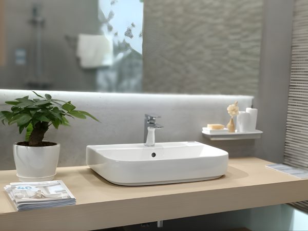 CHAU RUA DAT BAN AL 632V GC EC FC 1