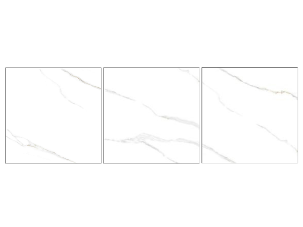 Gach Viglacera CL9 GP8801