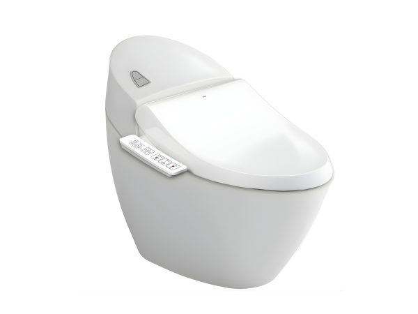 NAP RUA DIEN TU CW H17VN