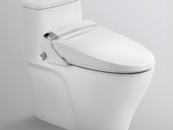 NAP RUA DIEN TU CW KA22AVN