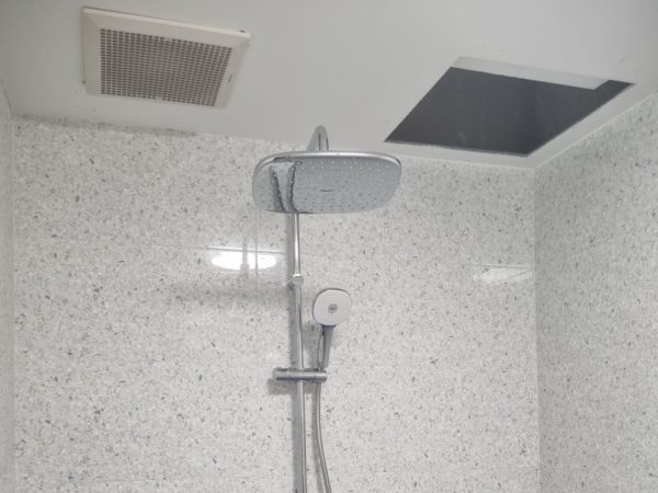 SEN TAM CAY BFV 635S