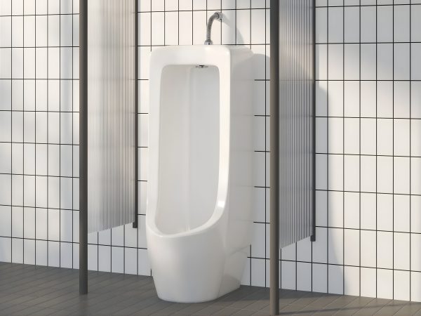 Tieu nam dat san BS604 1