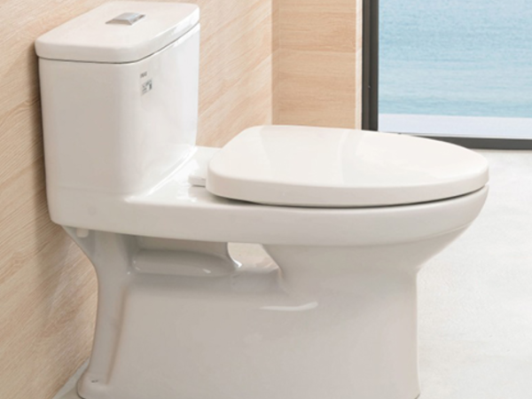 BÀN CẦU MỘT KHỐI AC-969VN