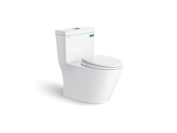 Bàn Cầu Một Khối V62