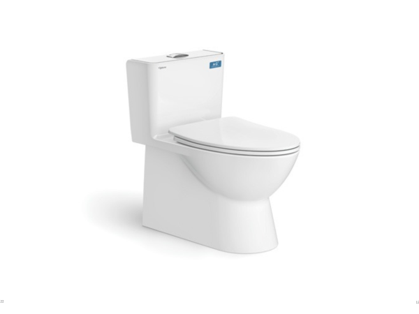 Bàn Cầu Một Khối V808