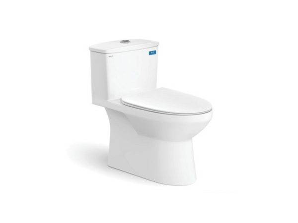 Bàn Cầu Một Khối V811