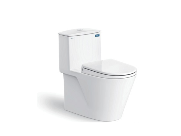 Bàn Cầu Một Khối V817