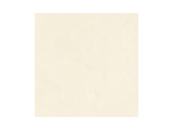 GẠCH NHÃ CA SIG.NHC E05S