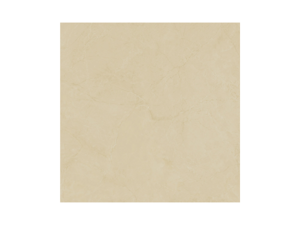 GẠCH NHÃ CA SIG.NHC E06S