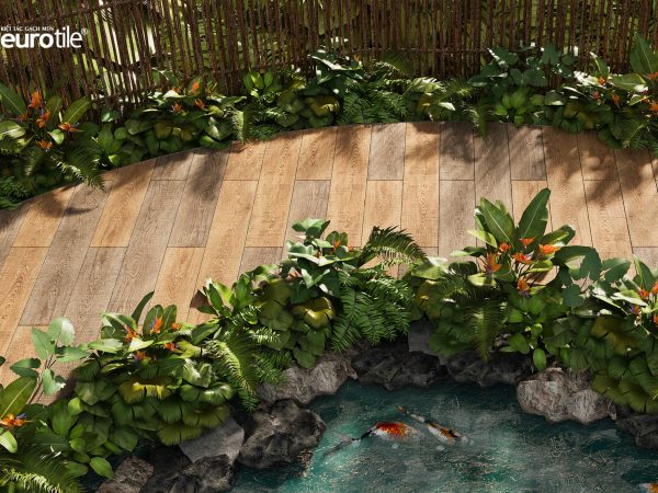 BỘ SƯU TẬP MỘC CHI