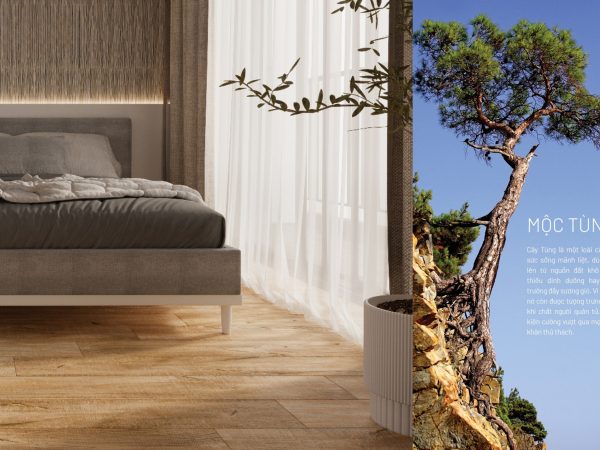 BỘ SƯU TẬP MỘC TÙNG