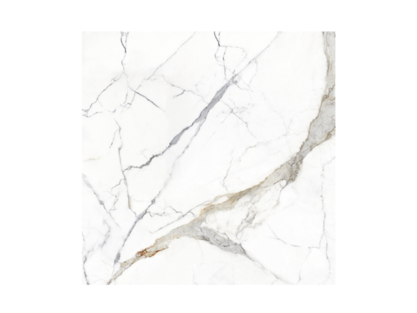 GẠCH PHONG LƯU PHL S01P